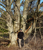Discovery Park