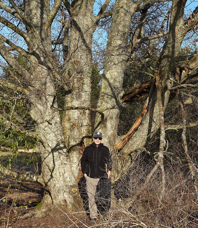 Discovery Park