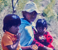 Bolivia, Cocoa Harvesting